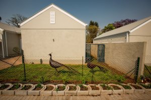 100MontgomeryandArlington-84