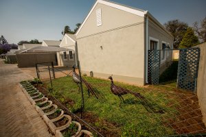 100MontgomeryandArlington-85