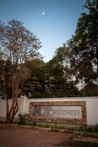 100Montgomeryatnight-9